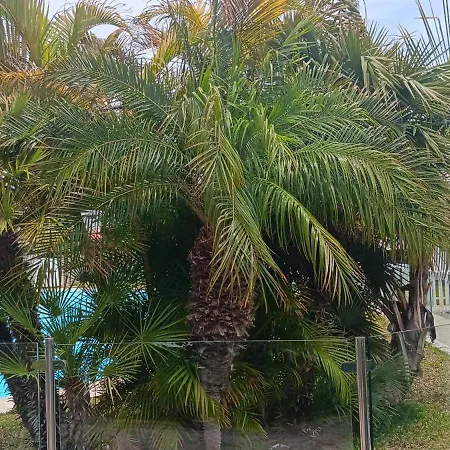Tirma Hébergement de vacances Playa del Inglés