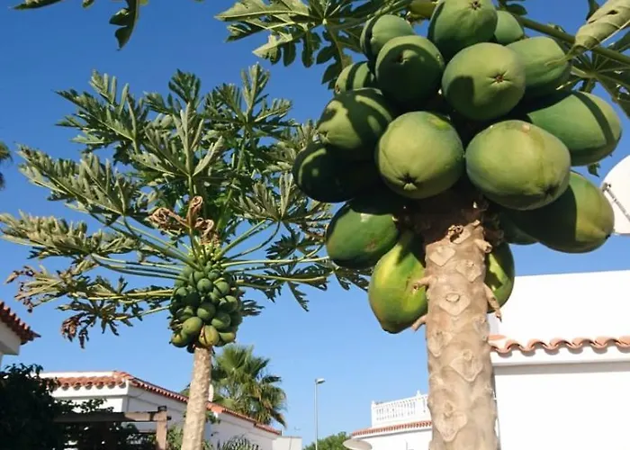 Tirma Playa del Inglés