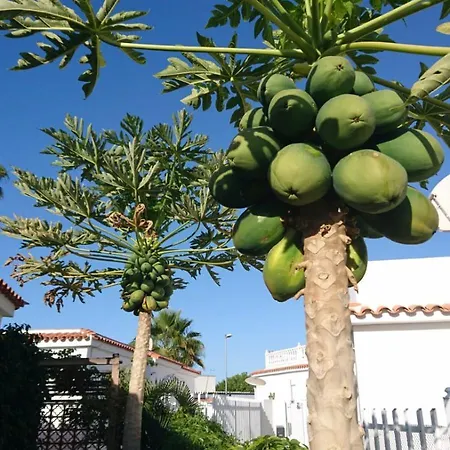 Tirma Playa del Inglés